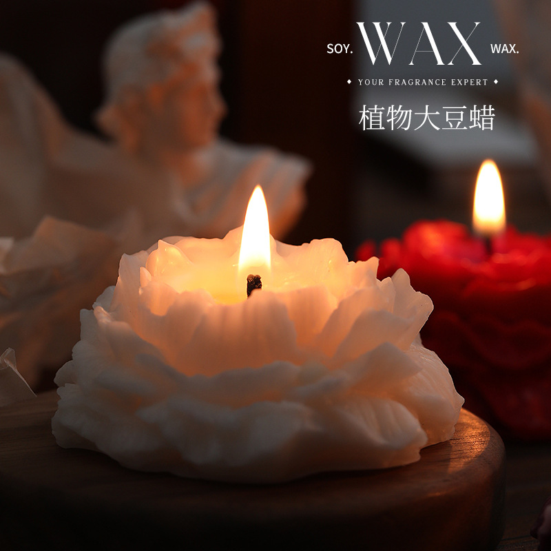 Camellia scented candles simpl - Soy Wax 评论和价格