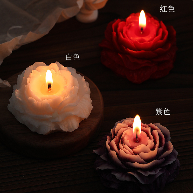 Camellia scented candles simpl - Soy Wax 评论和价格