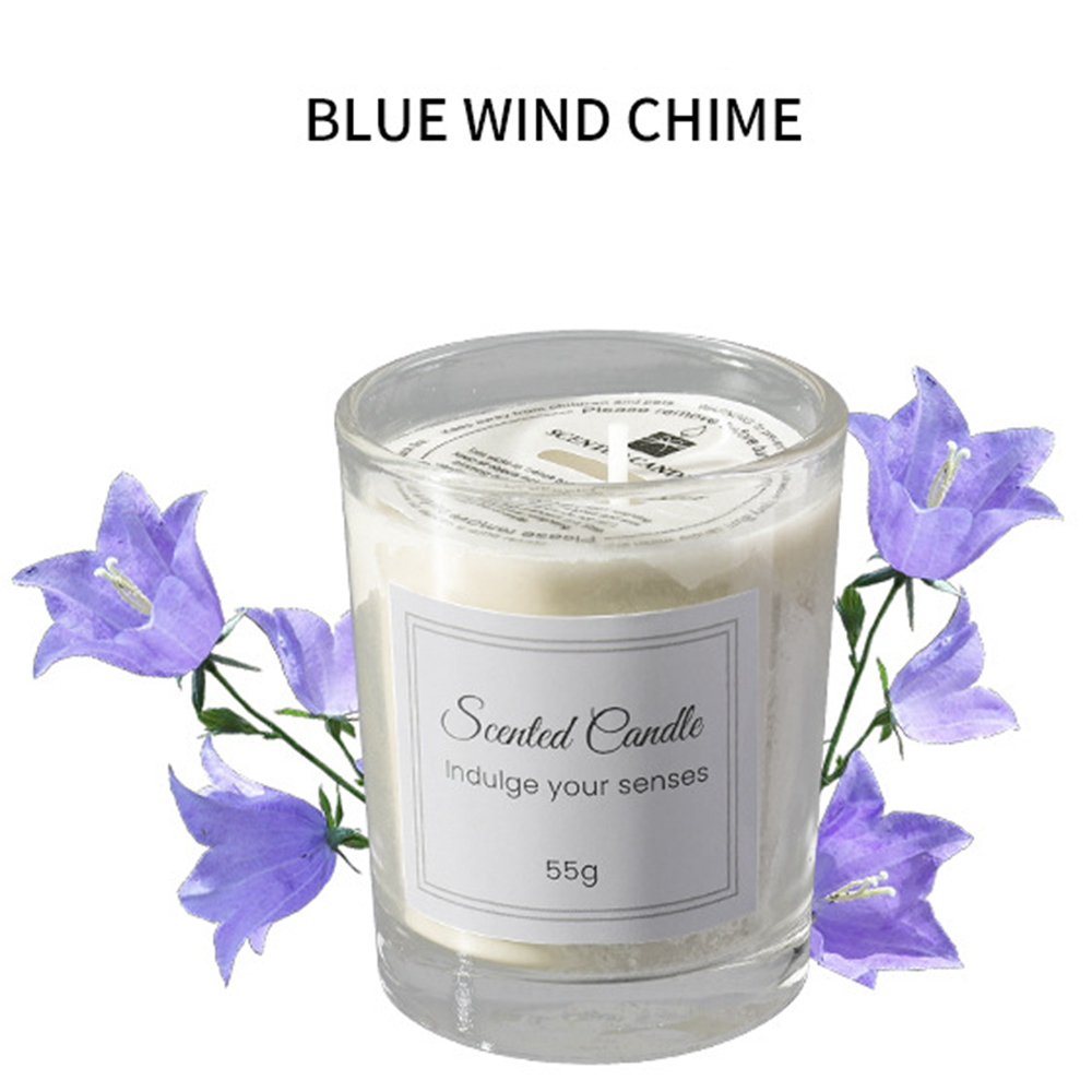 1pcs Premium Aromatherapy Cand - Soy Wax 评论和价格
